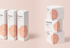 Appeal Aesthetics for Cosmetics with Customized Packaging