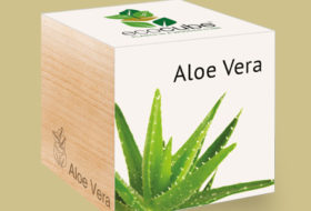 Custom Aloe Vera Boxes